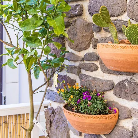 شقة Casa Amsicora, Per 6 Wi-fi E A-c كالا غونوني